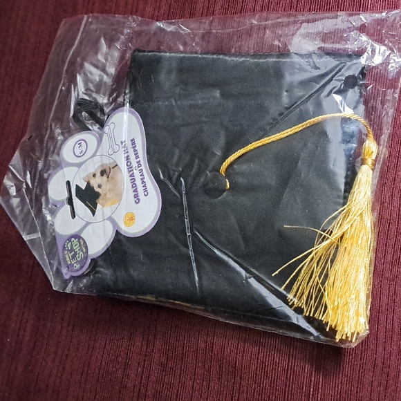 Graduation Bundle - Dog Cap, Corgi Placque & Tossing/Talking Plush - Picture 8 of 12